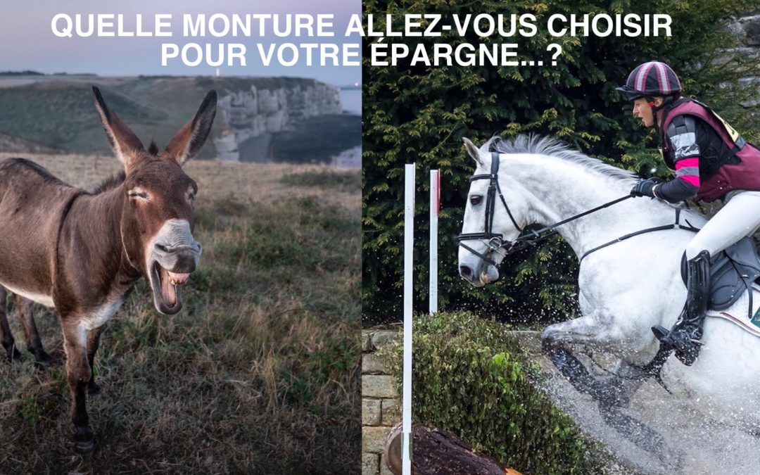 Épargne quelles sont ces solutions, leurs configurations, leurs risques, leurs disponibilités, leurs sécurités… ?